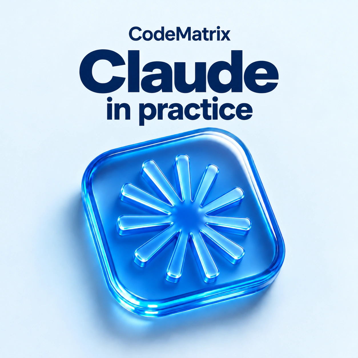 Cover of Claude in practice